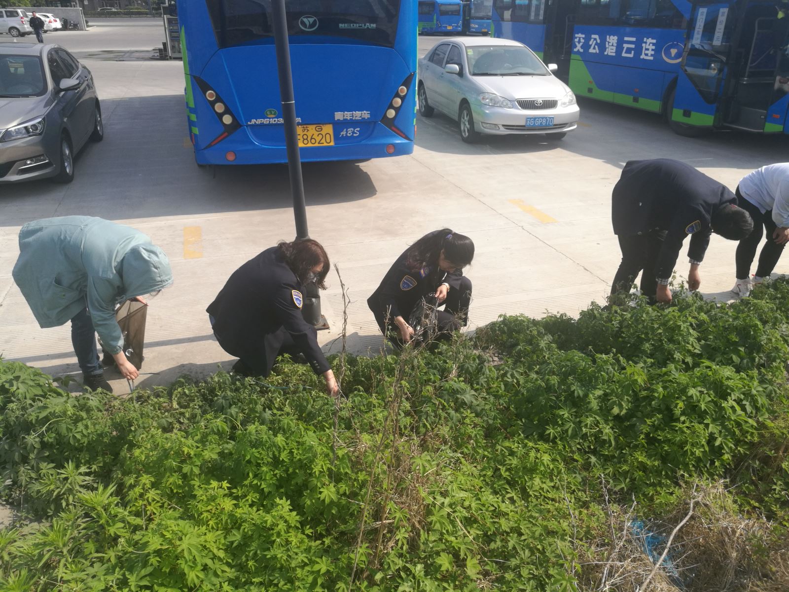 公交集團(tuán)經(jīng)營發(fā)展事業(yè)部開展清理垃圾志愿活動(dòng)