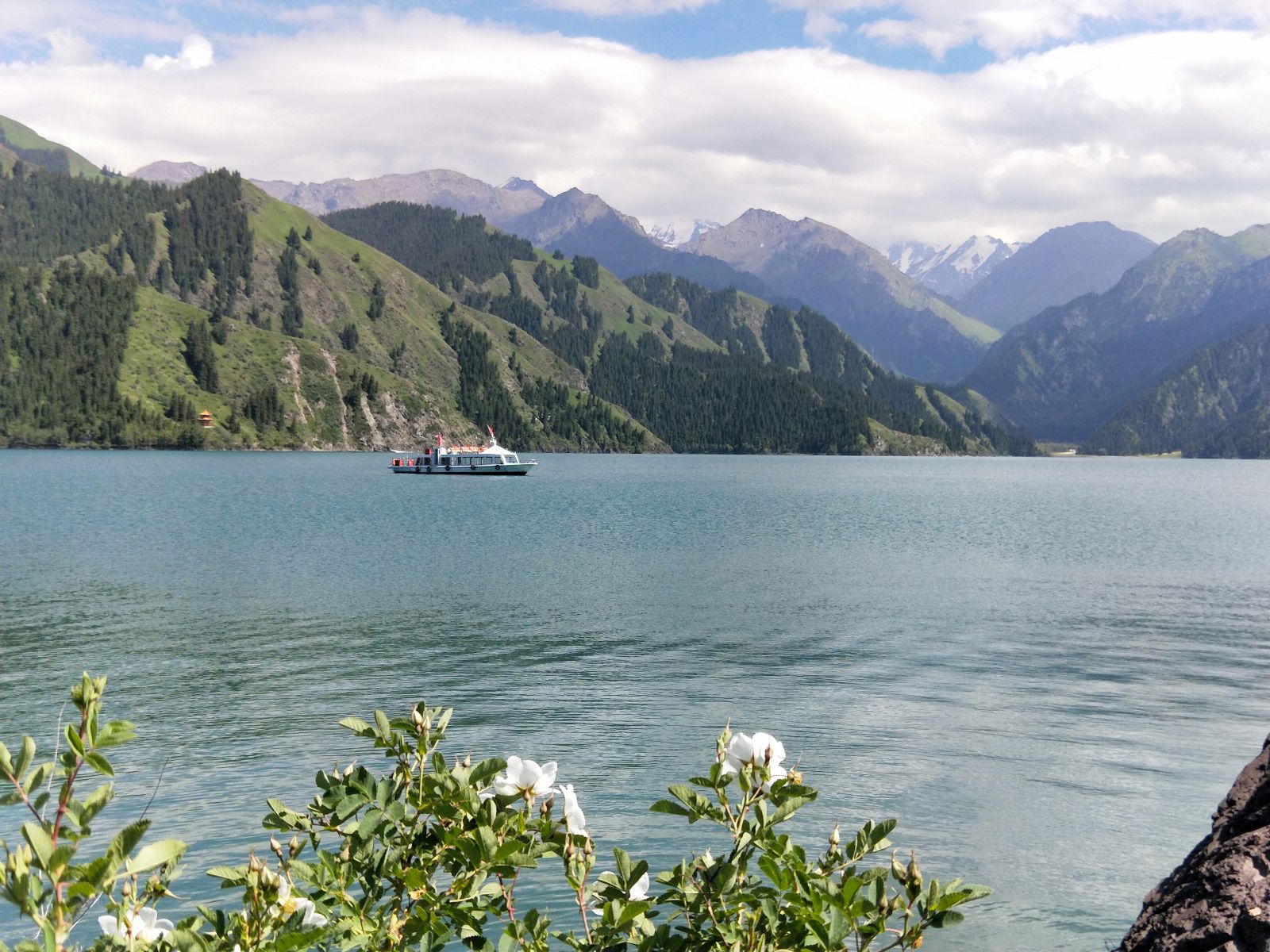 公交旅游公司暑期出游提醒